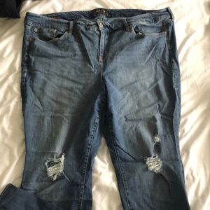 Premium Torrid Skinny Distressed Jeans | PLUS